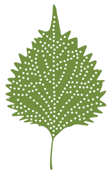 Michelle Kuroda, LAc Acupuncture | Dry Needling | Lifestyle Medicine