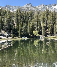 Book an Appointment with Amanda Sullivan Antonetti for Acupuncture