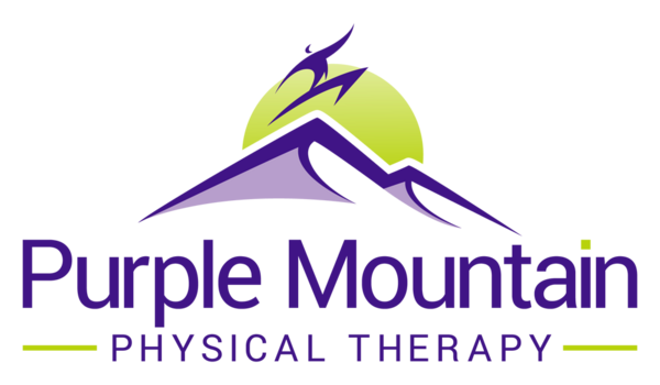 Purple Mountain PT, LLC