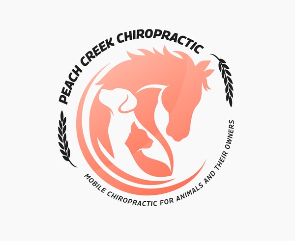 Peach Creek Chiropractic