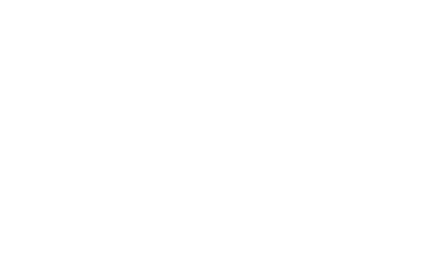 Holistic Wellness