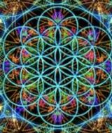 Book an Appointment with Dr. Steven L. Robertson at Dr. Steven L Robertson SRT™️ Santa Rosa Beach Location