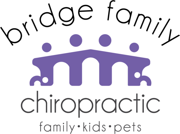 Bridge Family Chiropractic
