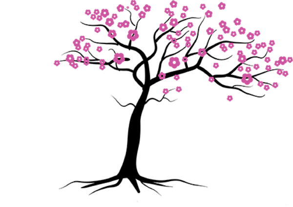 Silk Tree Healing Center