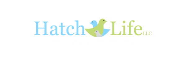 Hatch Life Mental Health Services