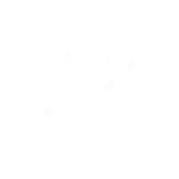 Arise Counseling Services LLC