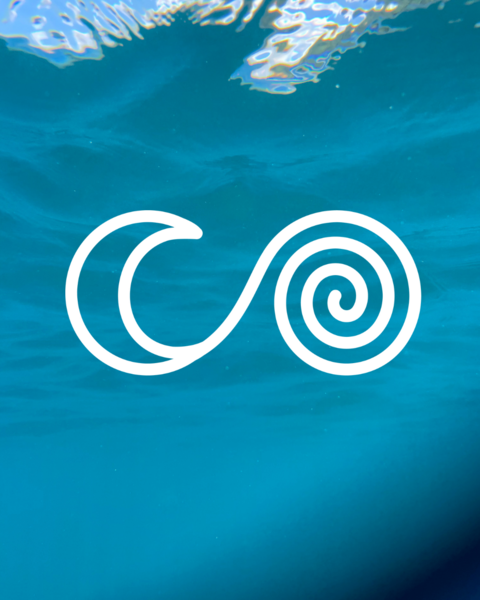 Groundswell Clinic