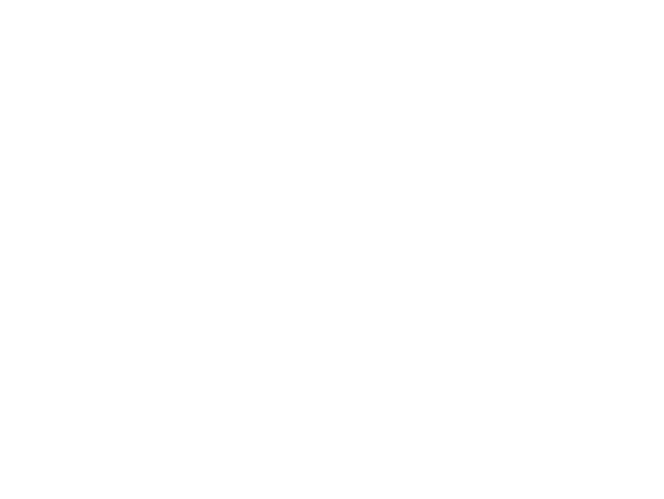 Animas Chiropractic